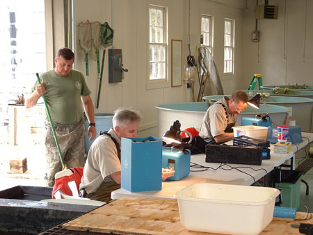 Staff from the SCDNR are inserting a coded wire tag into fingerling robust redhorse before they are released into the Broad and Wateree rivers. 