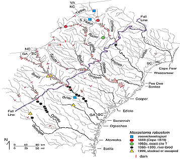 Distribution of wild and stock robust redhorse